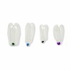 10 pcs/Pack Dental Clear Matrix Anterior Posterior Fit Bioclear BT
