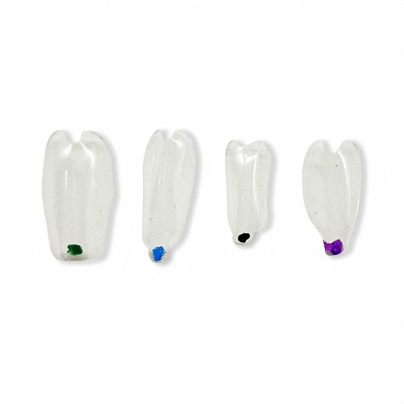 10 pcs/Pack Dental Clear Matrix Anterior Posterior Fit Bioclear BT