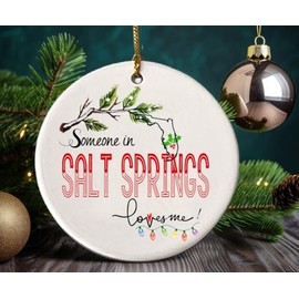 Salt Springs Florida Souvenir Christmas Ornament 2024 Someone in Salt Springs FL Loves Me! Christmas Family Friend Gifts Ideas 3" White
