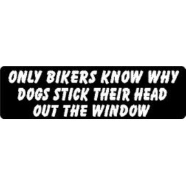 ONLY Bikers Know WHY Dogs Stick Their Head Out The Window Helmet Sticker/Hard HAT Sticker