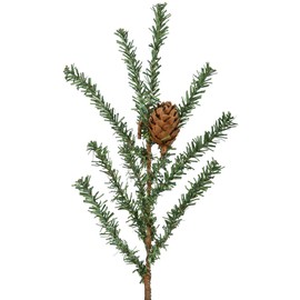 Vickerman Carmel Pine Tree with Burlap Base-Unlit, 42-Inch, Green
