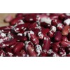HeirloomSupplySuccess 25 Heirloom Anasazi Beans (Jacob's Cattle) Seeds