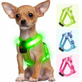 Visiklit Light Up Dog Harness for Small Dogs Rechargeable, LED Dog Vest Harness, Adjustable Illuminated Glow in Dark Dog Harness for Puppy Night Safety Walking 360° True Illumination-Green