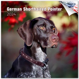 2025 2026 German Shorthair Pointer Calendar - Dog Breed Monthly Wall Calendar - 12" x 24" Open - Thick No-Bleed Paper - Giftable - Academic Teacher's Planner Calendar Organizing & Planning - Made in USA