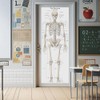 Life Size Skeleton bones named Poster for classroom or lab