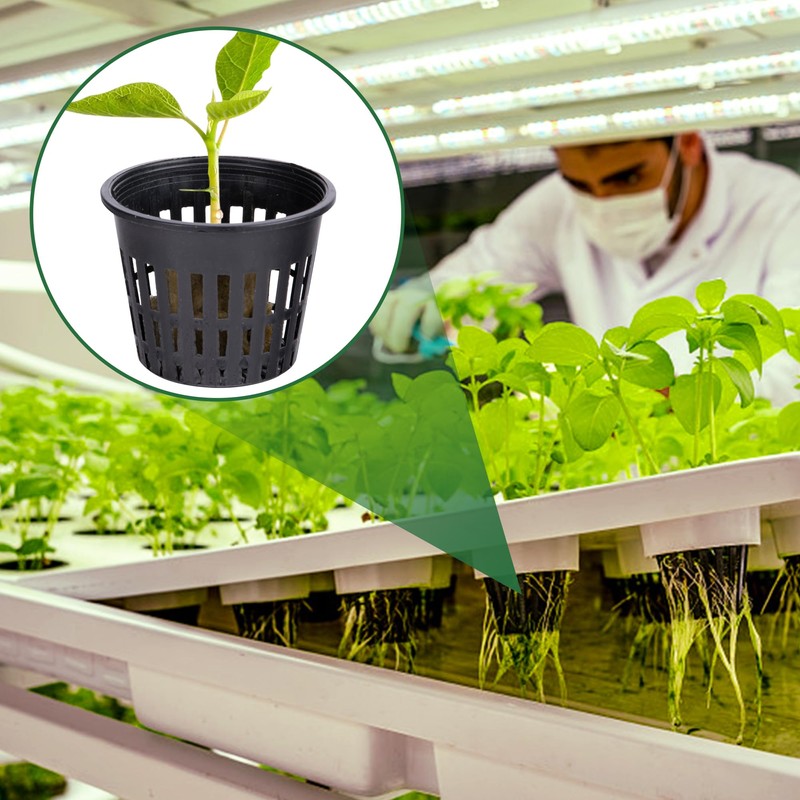 Rockwool Grow Cubes Set for Hydroponics - 21Ps Stonewool Starter