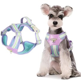 Small Dog Harness and Lead Set No Pull Puppy Vest is cute and bright, suitable for daily ourdoor pet travel, Unique Colors Reflective Adjustable,Suitable for small dog and cats (XL)