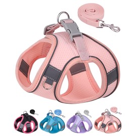 Aecllcea Dog Harness for Small Medium Sized Dog, Puppy Harness and Leash Set Training, Dog Harness and Leash Set, Dog Vest Harness, Dog Harness Small Sized Dog, Small Dog Harness. (Peach, XXS)