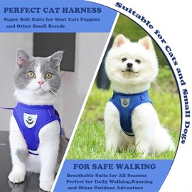 Escape-Proof Soft Mesh Cat Harness and Leash Set – No Pull Vest for Kittens and Small Animals (Rabbits, Mice, Cats) – Stylish Blue Cat Collar Included