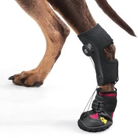 Drop Foot Brace with Reel(No Knuckling Boot Brace) for Dog - Corrective Dog Shoes to Safely Lift Toes for Foot Issues, Arthritis, and improving Walking gait in Dogs(XL)