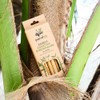 pandoo Pack of 12 Cocktail Straws Made of 100% Bamboo