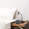 RHYTHM 8RZ223SR02 Alarm Clock, Radio Clock, Electronic Sound W Alarm,