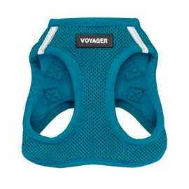 Best Pet Supplies - Arnés de Malla para Perros pequeños y medianos Voyager Step-in Air para Todo Tipo de Clima, Color Turquesa (Ribete a Juego), XXS  