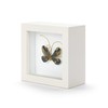 DEMDACO Wall or Tabletop Shadow Box, Everyday Home Décor, 4