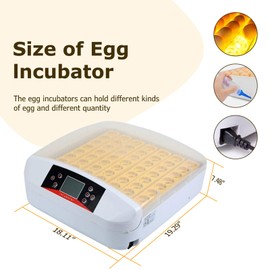 Egg Incubator ，56 Eggs Fully Automatic Egg Incubator with LED Lighting Automatic Turner and Intelligent Temperature Control， for Eggs/Duck Eggs/Bird Eggs/Goose Eggs Hatching