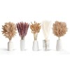 HONGHCL Pampas Decorativas Secas 120pcs - Plantas Naturales Suaves y