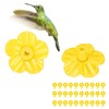 Ejoyous - Alimentador de colibrí, 30 flores de repuesto, amarillas,