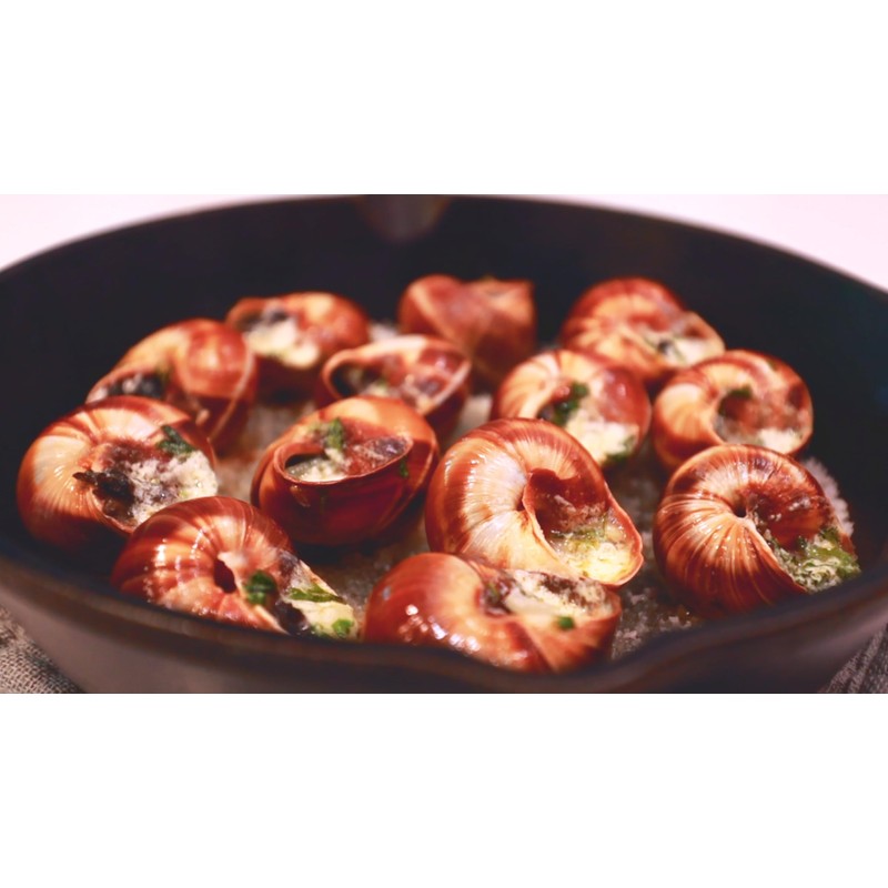 Straight from France Genuinely French, Empty Escargot Snail Shells Bulk