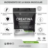 Alpha Labs Creatina Monohidratada 500g Micronizada Alta Pure