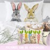 X Pillow Cover Collection: Springtime Easter Pillows - Set of