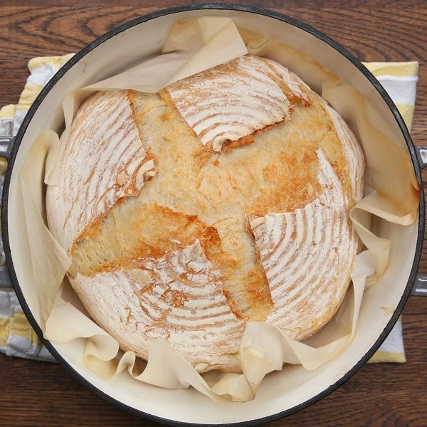 Heritage Sour Dehydrated Sourdough Starter San Francisco 50+ Yrs Old