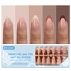Dsixnails 150 Uñas Postizas En Tonos De Piel Para Mujer
