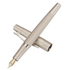 6013 - Pluma estilográfica de metal plateado mate con textura de árbol, iridio extrafino de 0,4 mm con juego de bolígrafos de tinta de escritura