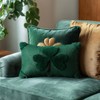 12 x 20 Inch St Patricks Day Pillow Cover St