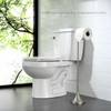 simpletome Toilet Paper Holder Free Standing, Stable Weighted Base, Modern