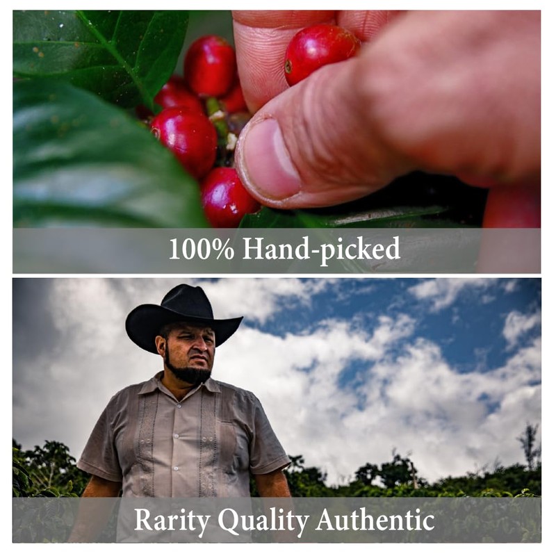 La Fantaisie 100% Top Grade Kona Coffee Medium Dark Roast