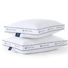 Pacific Coast Goose Feather and Down Firm Bed Pillows Standard