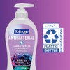Softsoap Jabón de manos líquido antibacteriano, té blanco y fusión