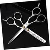 Healvian Stainless Steel Hairdressing Scissors Set 2pcs Flat Teeth Shears