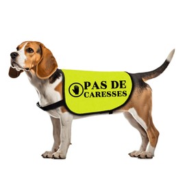 Pas De Caresses Dog Coach Gift Walking Warning Dog Jacket Large