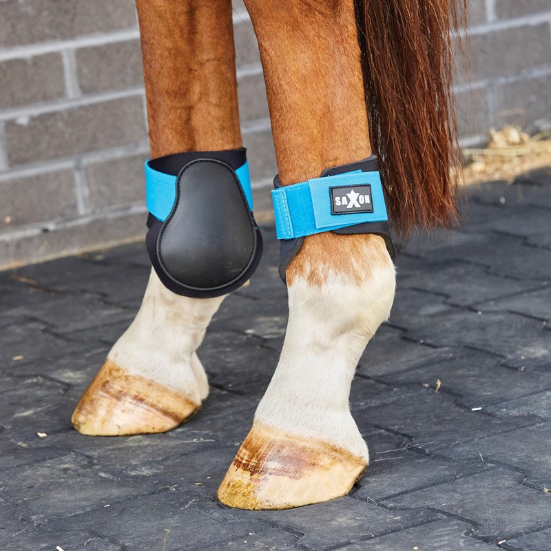 Saxon Contoured Fetlock Boots, Black/Blue, Cob