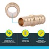 SharkBite 1/2 Inch Crimp Coupling, Brass Plumbing Fitting, PEX Pipe,