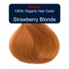Radico Organic Hair Colour - Strawberry Blonde, 100g
