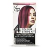 Stargazer Products Yummy Colour Pink Ombre Semi Permanent Hair Dye