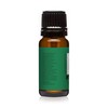 Pine Needle Premium Grade Fragrance Oil - 10ml - Scented
