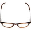 Seventh Street Unisex Sunglasses, Ex4/20 Brown Horn