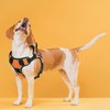 Dogline Quest No-Pull Dog Harness with Adopt Me Reflective Removable