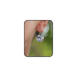 Bird Leverback Earrings for Women – Vintage Blue White Round Resin Earrings with Lightweight Design, Nature-Inspired Retro Jewelry (Floral Blue Bird)