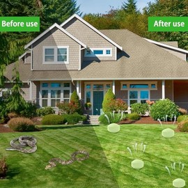 24 Pack Natural Snake Repellent, Snake Repellent for Outdoor Yard Garden House | Long-Lasting Protection | Safe for Dogs and Children, Light Green