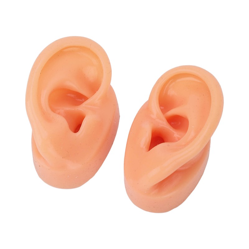 Silicone Ear Model Human Artificial Ear Display for Hearing Aids