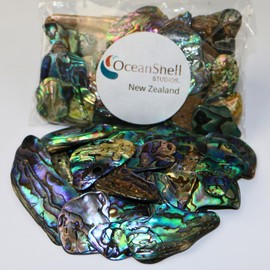 Abalone (Pāua) Shell Pieces-2.65oz Pack-for Crafts, Jewelry Making, Resin Art, Inlay, Home Decorations, Fishtank Supplies, DIY Projects - Satin, Small Size .60"- .98" (15-25 mm) 2.65oz (75grams)