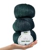 Ombré-Encore Big Bulky #5 Weight Yarn for Knitting & Crocheting