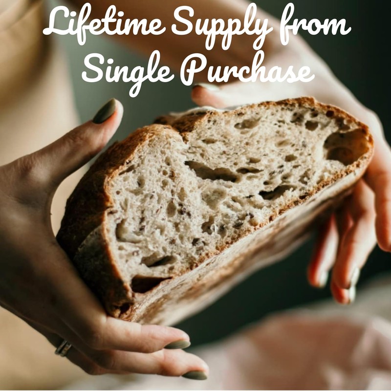 Freshly Fermented - Certified Organic Freeze Dried Sourdough Starter, British