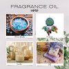 Buyitshipit - Coconut from Our Beach Collection - Perfect for