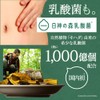 Tamachan Shop Konayuki Plant-Based Collagen 100g (3.5 oz) Low Molecular