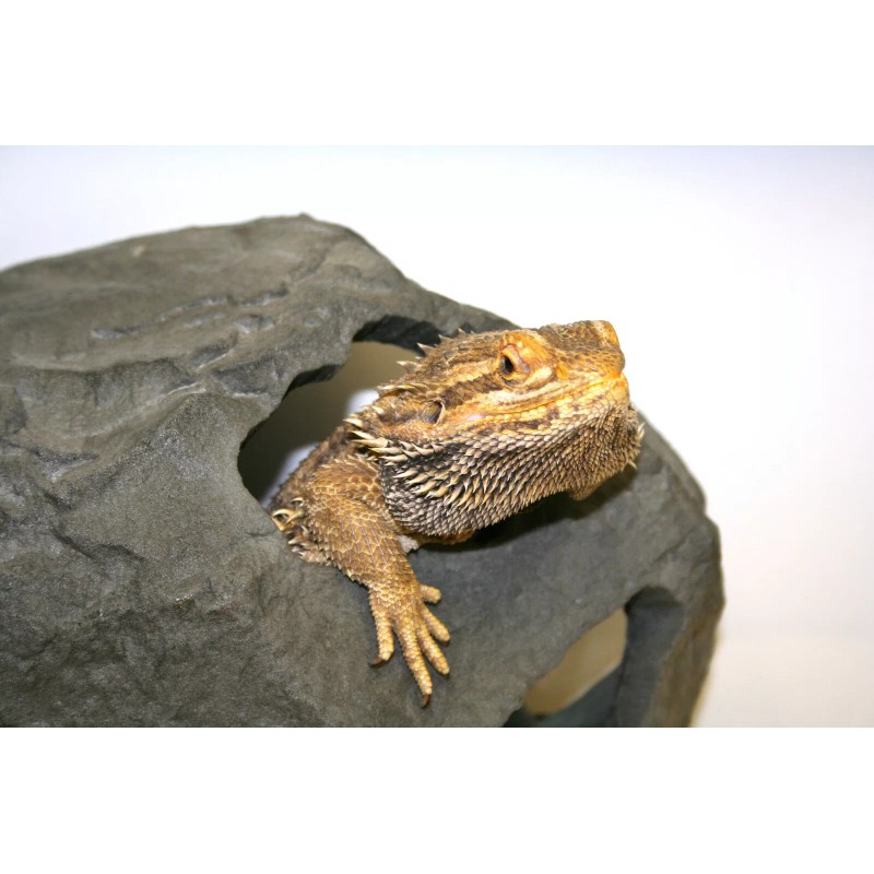 Pet-Tekk MagNatural Large Hideaway Granite - Pet-Tekk